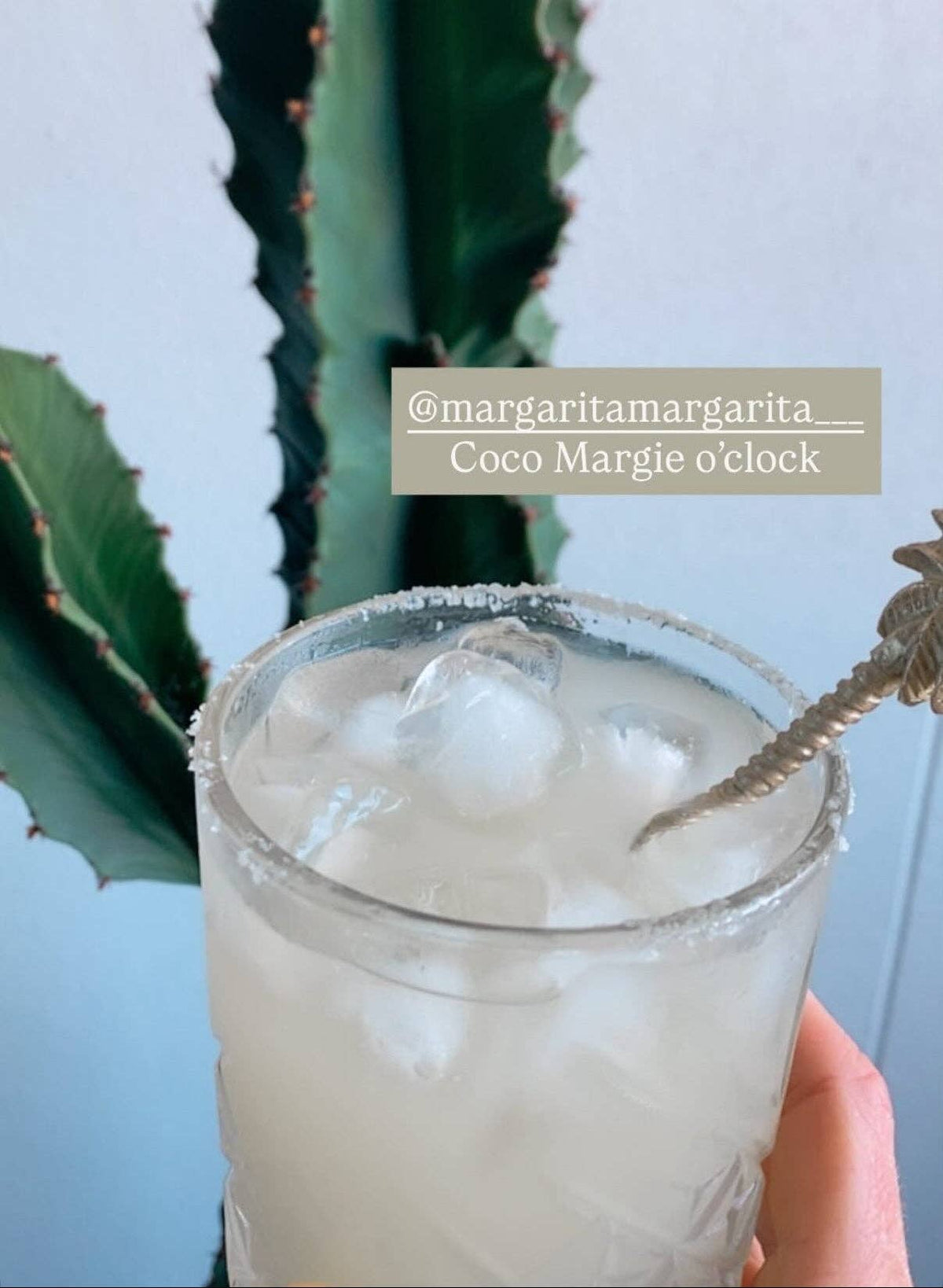 Coconut Margarita Mix