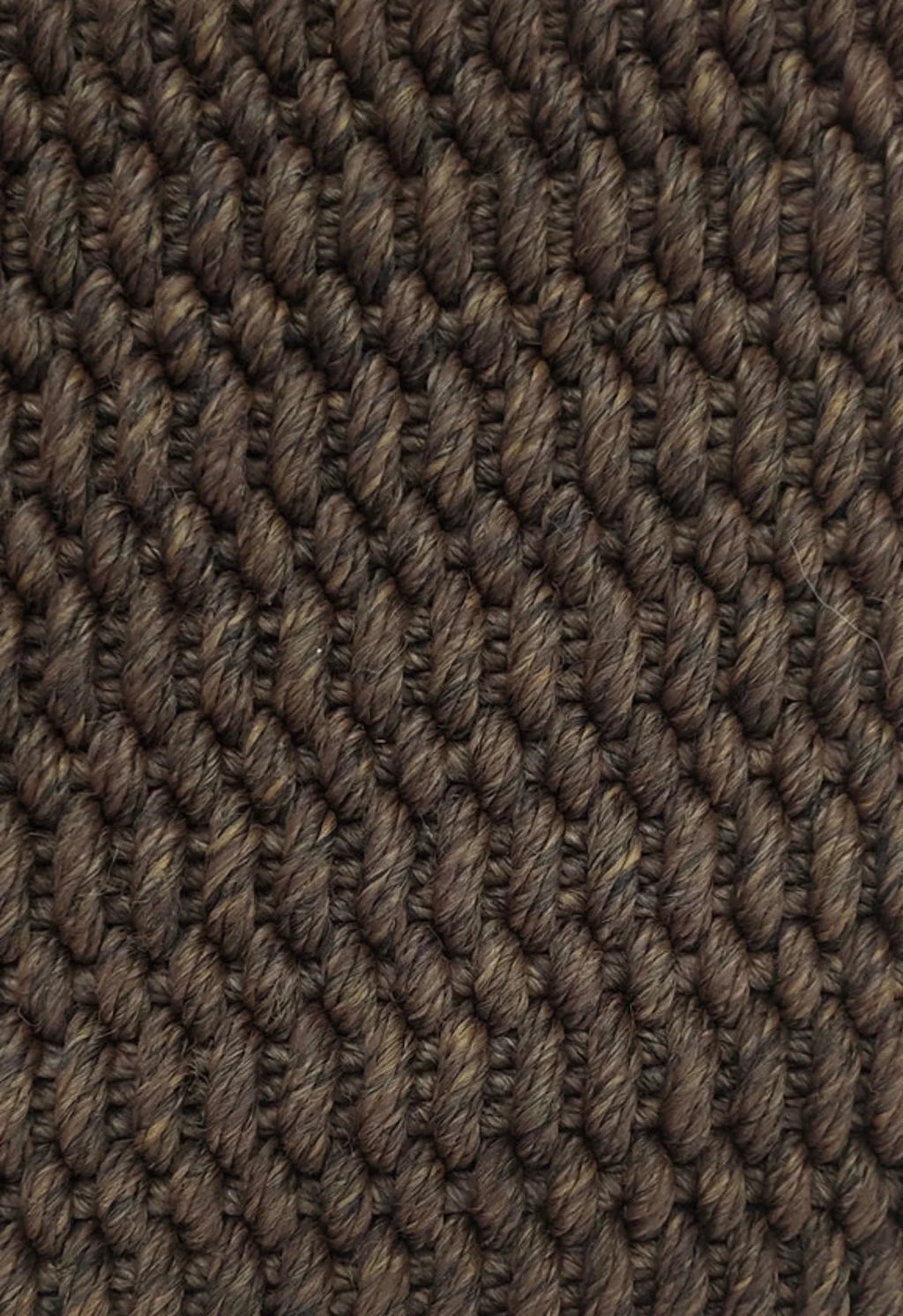 Bisque Indoor/Outdoor Rug - Coffee