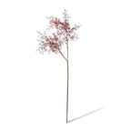 Smoke Tree Spray