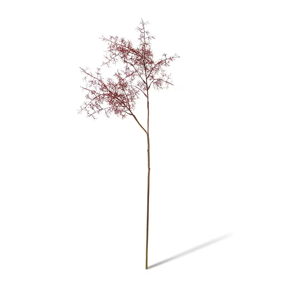 Smoke Tree Spray