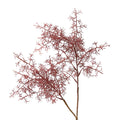 Smoke Tree Spray