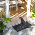 Clements Indoor Outdoor Doormat