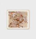 Daisy Blush Framed Print