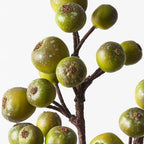 Loquat Spray