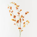 Oncidium Orchid Spray