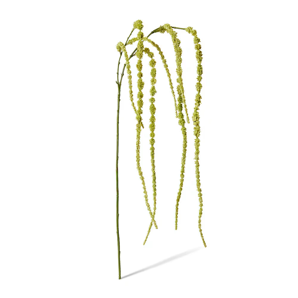 Amaranthus Spray