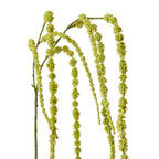Amaranthus Spray