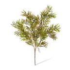 Grevillia Spray