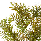 Grevillia Spray