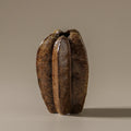 Pod Vase
